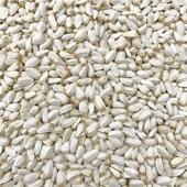 金刚鹦鹉鸟食鸟粮 白瓜子 仓鼠粮食鸽粮 5斤 红花子 包邮 红花g籽