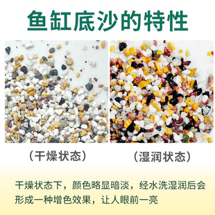 玉彩石鱼缸底砂水草缸造景沙石头沙子底沙溪流石雨X林沙天然细沙
