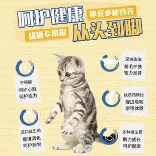 幼猫专用猫粮1到3月全价小猫v4到12月增肥发腮营养冻干平价款 5斤