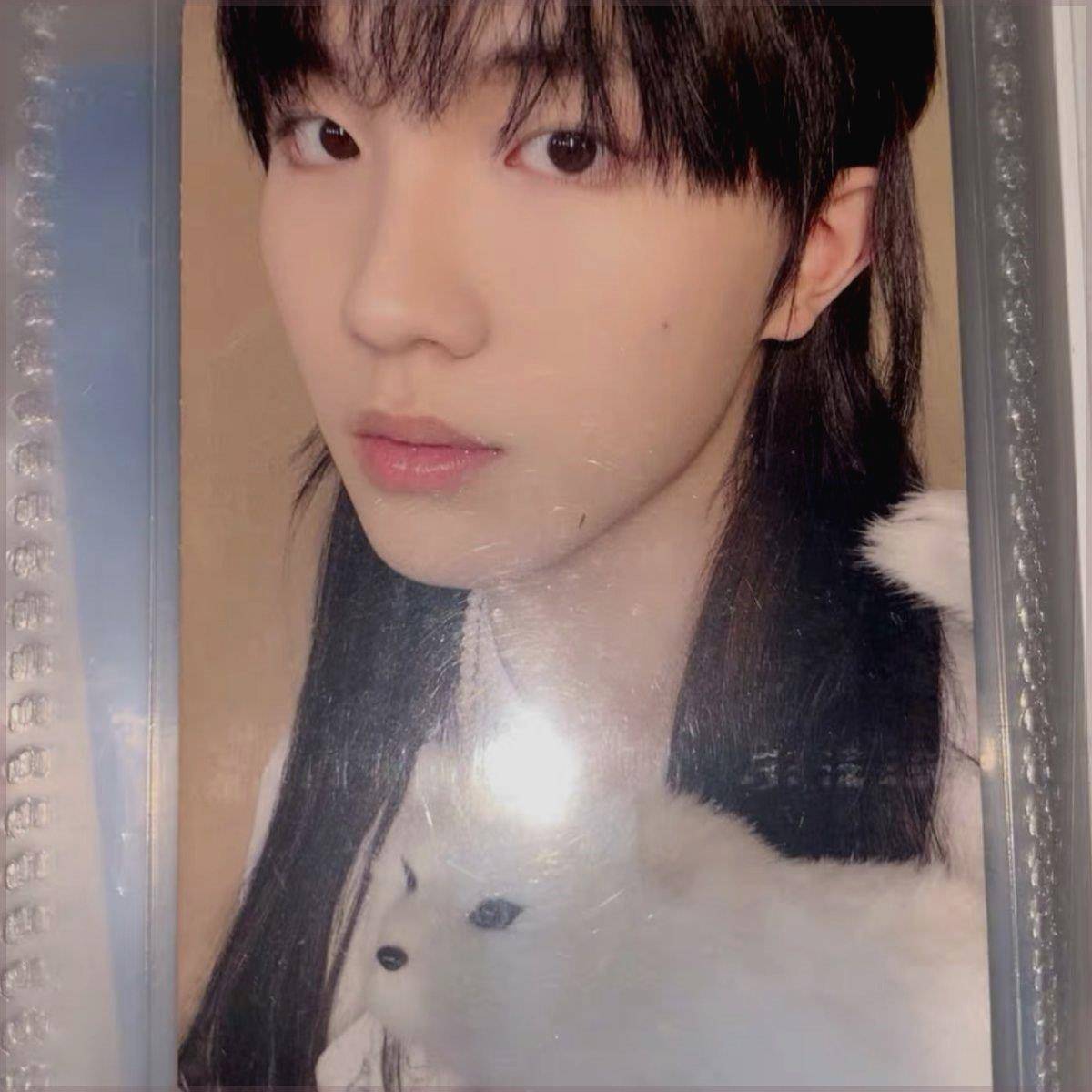 TNT蝴蝶少年时代少年乐游园苏新皓长发妲己小卡 拍立得