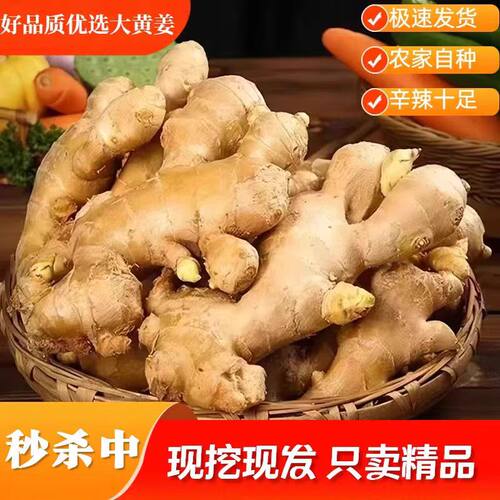 山东大黄姜新鲜生姜农家水洗风干无泥自种现挖现发散装老姜