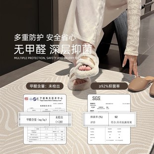 简约现代家用室外耐脏入户门垫可定制门厅进门踩脚垫地垫 2024新款