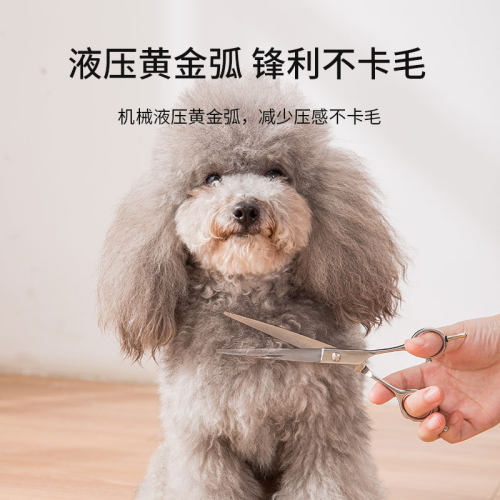 宠物美容剪刀专业修毛套r装弯剪神器牙剪泰迪狗狗自己剪狗毛工具