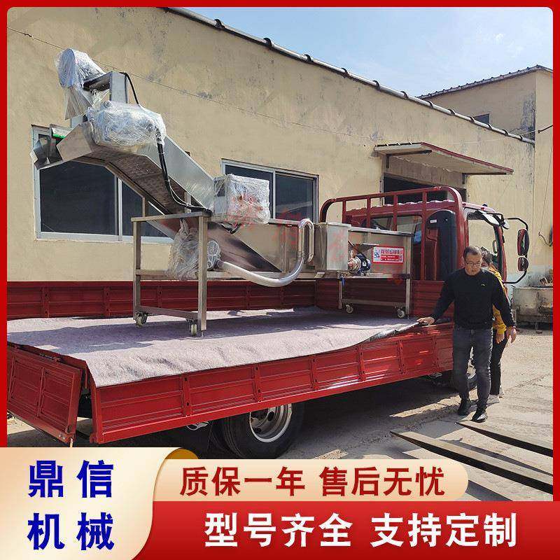 鼎信车厘子清洗机参果气泡清洗机全自动果蔬清洗流水线