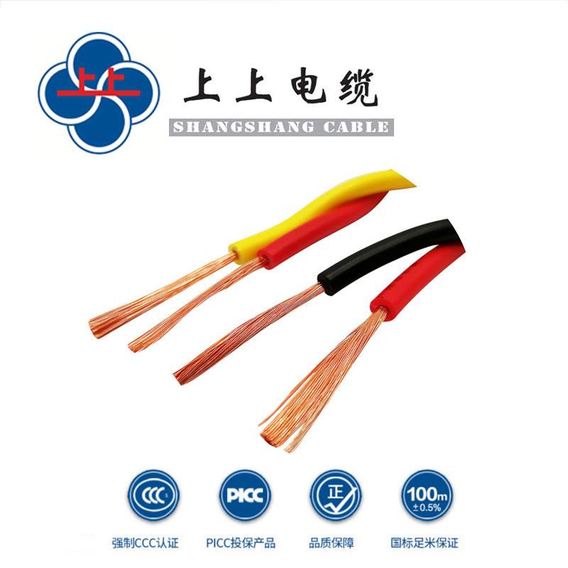 上上线缆WDZBN-RYJS2*2.5平方低烟无卤耐火阻燃双绞软电线国标