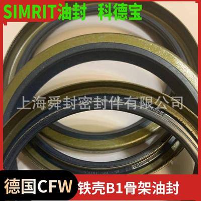 CFW-SIMRIT外骨架油封B1FUD20*28*6DIN3761B/BS材质72NBR902