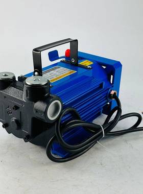汽油泵防爆油泵生物柴油油泵ACEx220V-ProofTransferPump