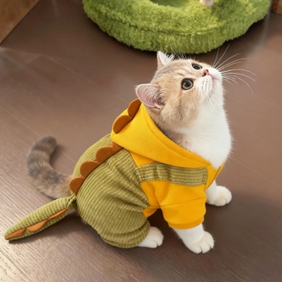 猫咪衣服冬装保暖加厚恐龙四脚衣布偶猫防掉毛宠物狗狗连帽棉衣秋