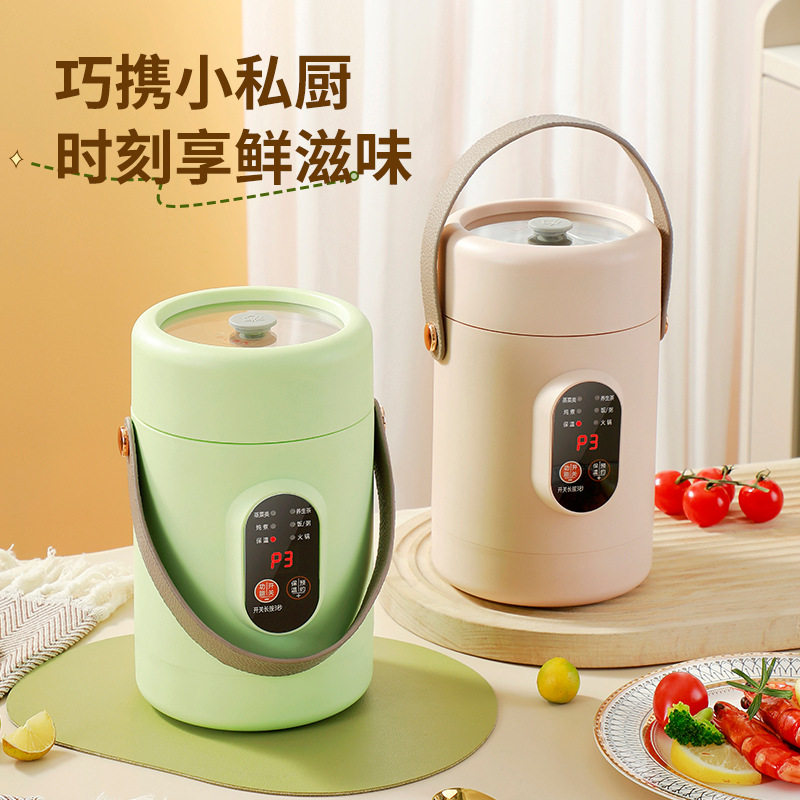 网红款电炖锅便携煲汤煮粥神器可透视不锈钢电煮锅多功能预约