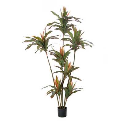 1.8米仿真秋红铁朱蕉富贵叶树5头红边植物造景软装摄影道具摆件