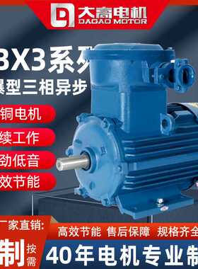 大高YBX3隔爆型三相异步电动机2/4P立卧式0.12-315kw全铜电机380V