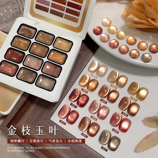 XEIJAYI/仙甲依新金枝玉叶十二色固态猫眼甲油胶美拉德琥珀色系