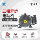 22W卧式 8极三相异步电动机YE3 8电机机械用18.5W 225S 马达