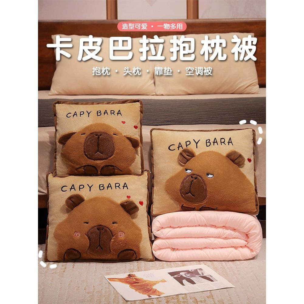 卡皮巴拉抱枕被子两用办公室折叠午睡枕头毯子二合一沙发汽车靠枕,居家布艺,抱枕被,淘宝优惠券,粉丝福利购,淘宝优惠卷