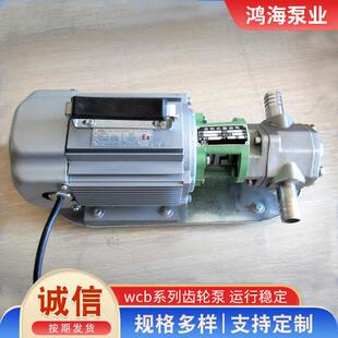 wcb齿轮泵不锈钢手提泵自吸抽油泵小流量220V便携式高效自吸