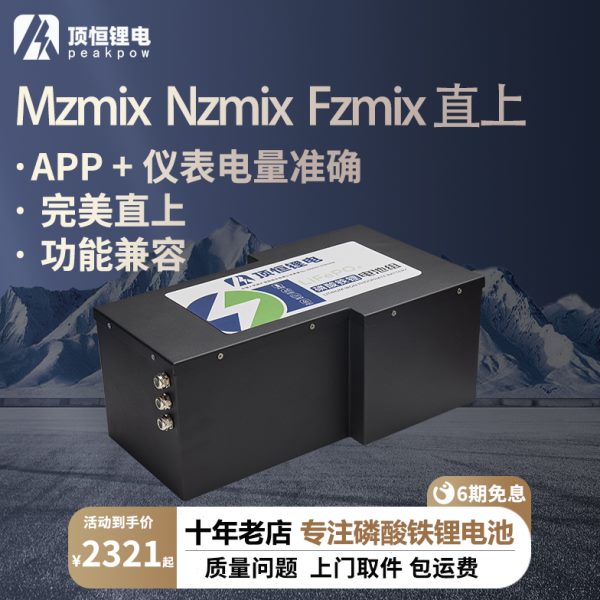 顶恒 Fzmix Nzmix Mzmix 直上 电动车大容量高续航 磷酸铁锂电池