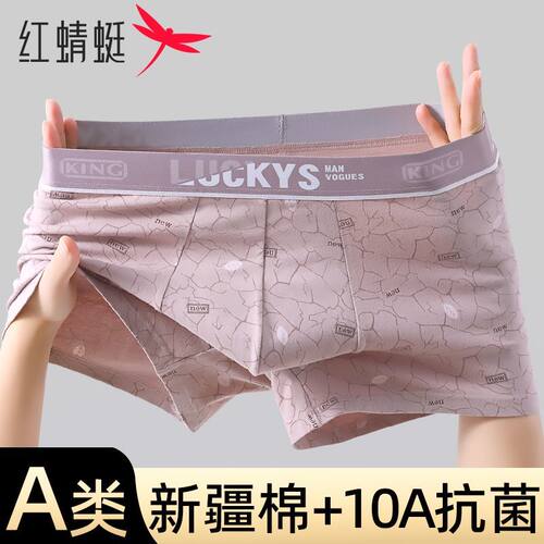 红蜻蜓a类新疆棉男士内裤纯棉裆抗菌四角裤运动透气平角裤四季