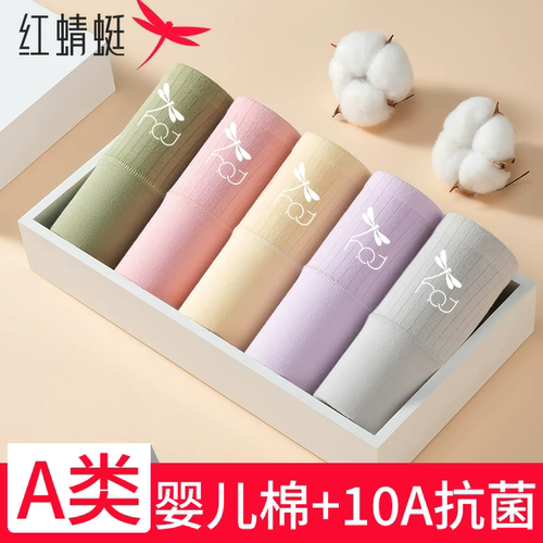 红蜻蜓A类婴儿棉10A抗菌内裤女