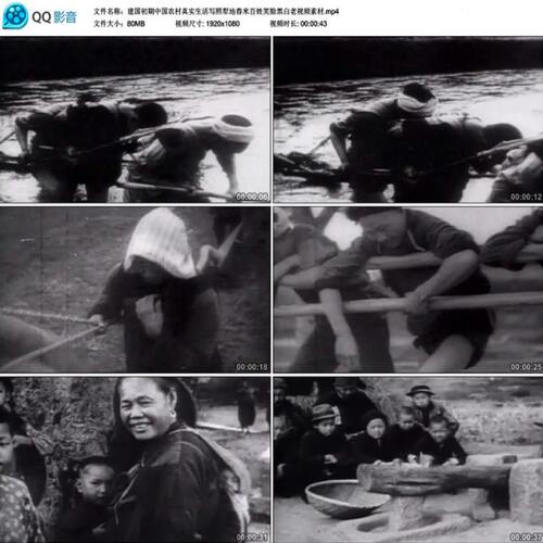 建国初期中国农村真实生活写照犁地舂米百姓笑脸黑白老视频素材