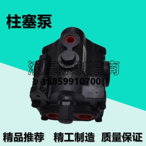 派克Denison丹尼逊液压PV20-2R1D-C00-J343柱塞油泵PV10-2R1D-C00