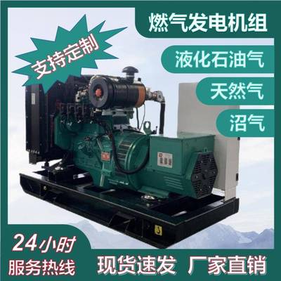 生物质气化发电机组500kw秸秆养殖粪便沼气发电机组热电联产