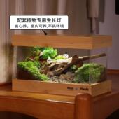 创意苔藓微景观生态雨林缸办公桌面盆栽植物成品礼物生态瓶盆栽