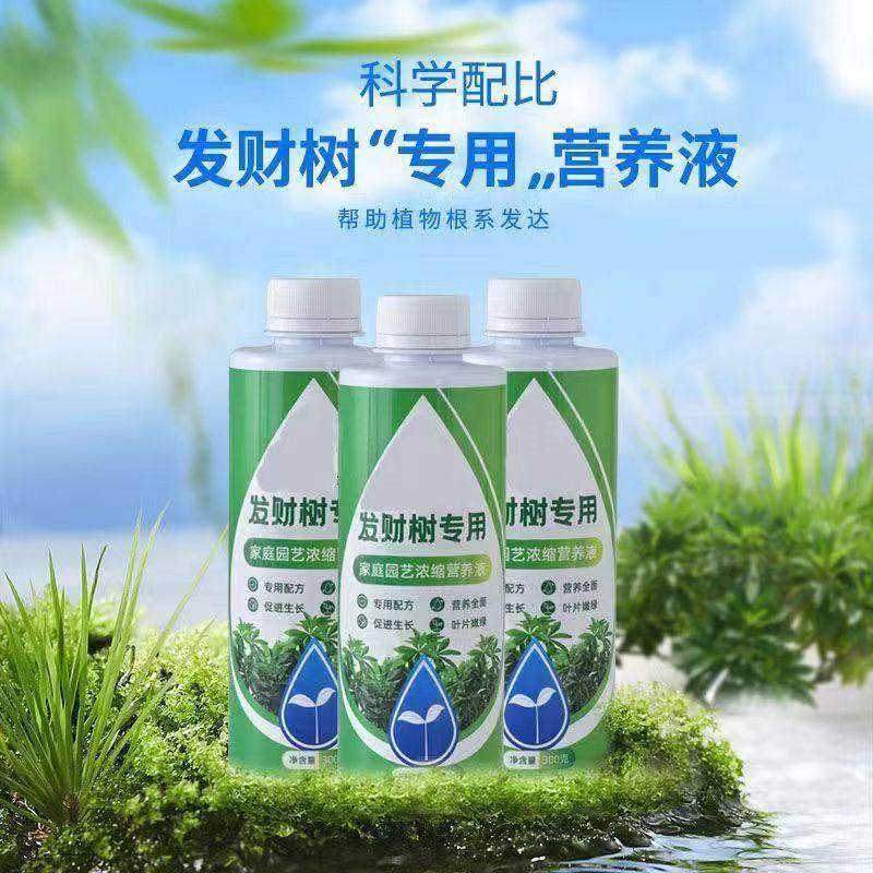 发财树营养液专用肥黄叶烂根急救水培绿植物家用盆栽通用养花zx,鲜花速递/花卉仿真/绿植园艺,家庭园艺肥料,淘宝优惠券,粉丝福利购,淘宝优惠卷