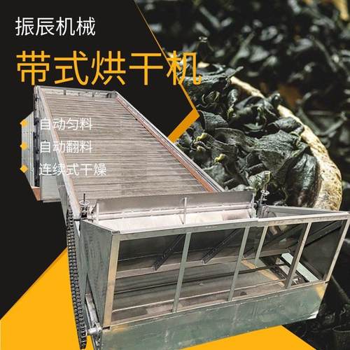 蔬菜脱水烘干机 大型网带式烘干设备 海带海产品干燥烘干机厂家