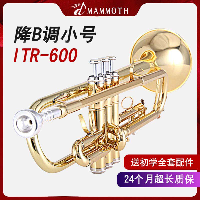 猛犸象磷铜管小号乐器降B调黄铜漆金初学专用演奏ITR-600