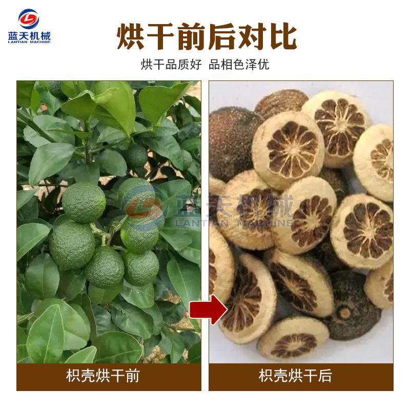 枳实烘燥干自机大QEX型全动干橘子幼果桔子果机连续式枳壳烘干设