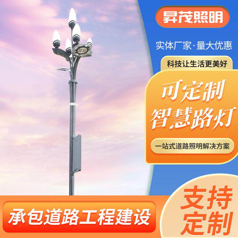 LED中华智慧路灯玉兰灯 广场园林户外防水照明景观路灯