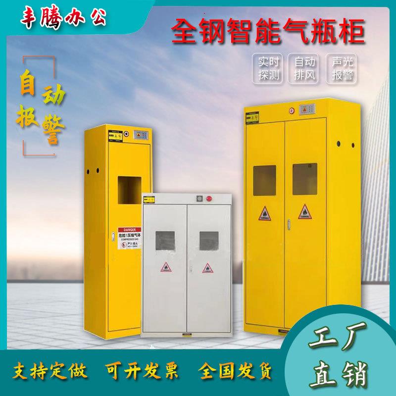 全钢防爆气瓶柜存放柜氧气乙炔钢瓶储存柜实验室气体双瓶煤气罐柜