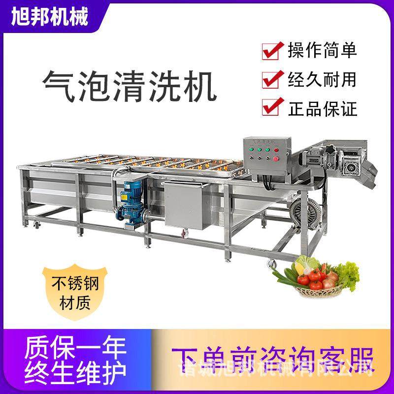 气泡果蔬清洗机 速冻蕨菜喷淋清洗设备 链板式茄子银耳木耳清菜机