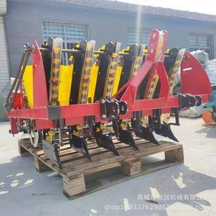 大蒜种植机 新款 带蛟龙平土器 悬挂式 6.7.8.10行 大蒜播种机