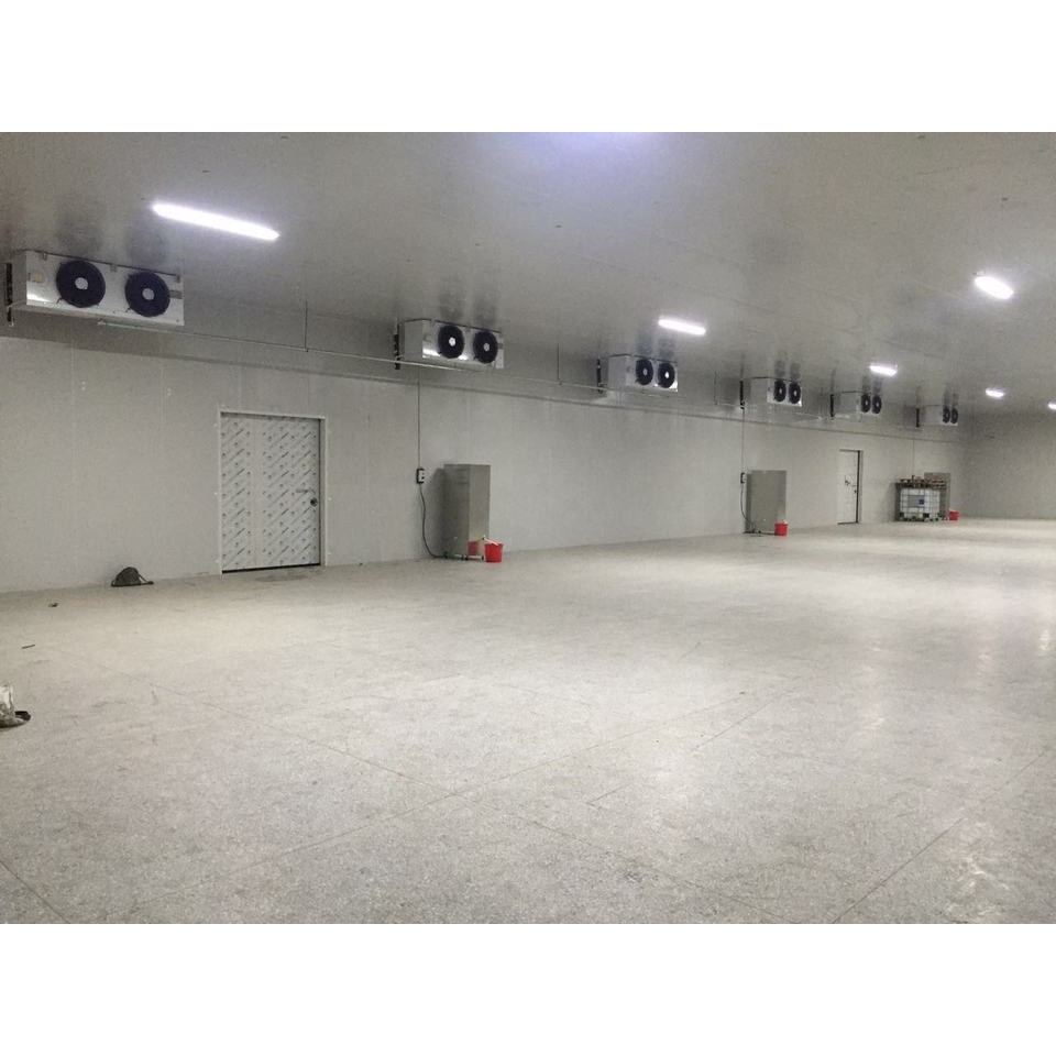 大小型冷库设计安装 水果蔬菜鲜花保鲜库 冻品雪糕海鲜冷冻库