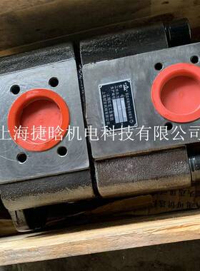 NBX62-C500F上海液压泵 SAEMP 直齿共轭内啮合齿轮泵