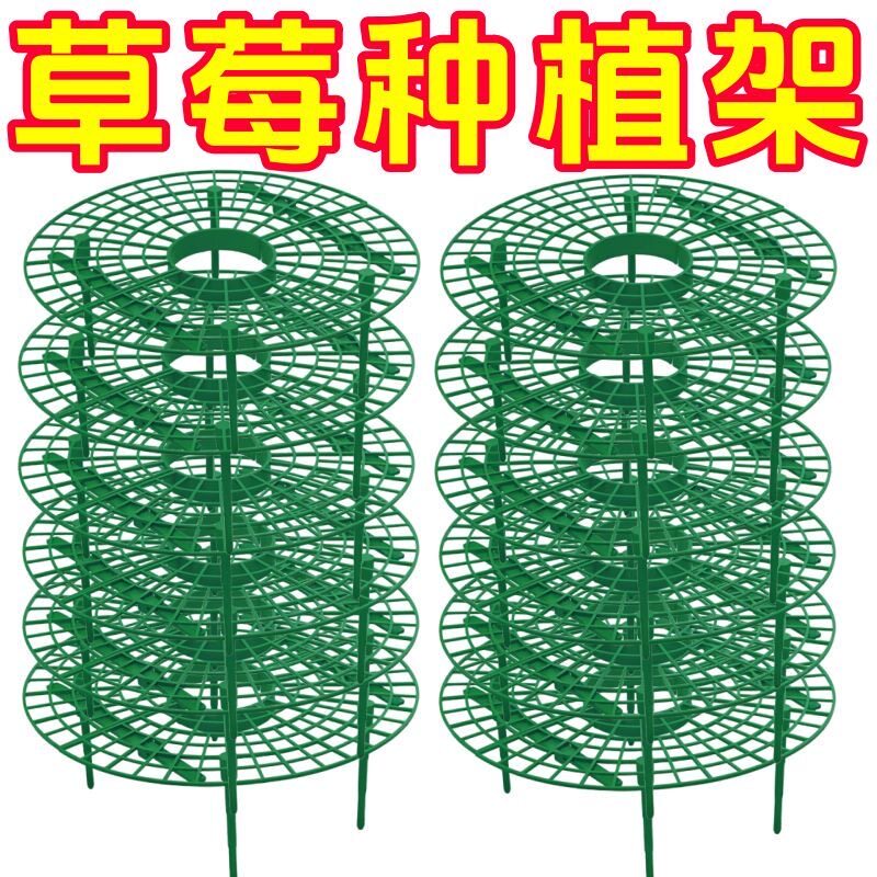 阳台盆栽草莓加厚防倒伏支架