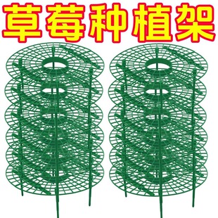 家庭盆栽草莓种植栽培支架托架阳台腐烂倒伏支撑架园艺托盘神器