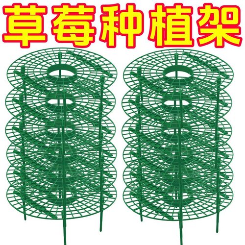 阳台盆栽草莓加厚防倒伏支架