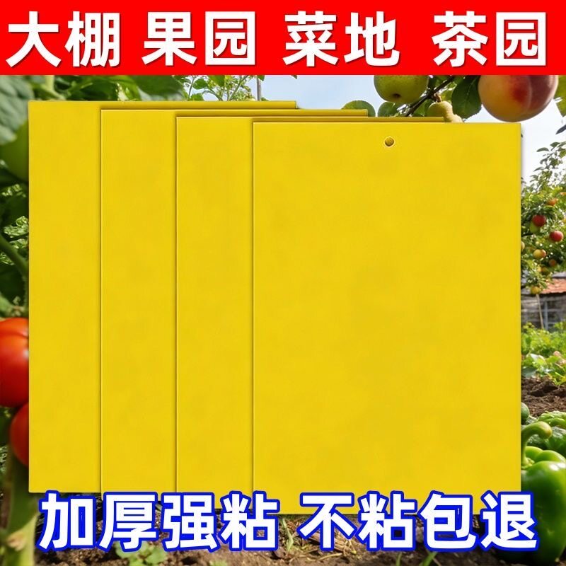 强力双面黄板粘虫板大棚蔬茶诱虫