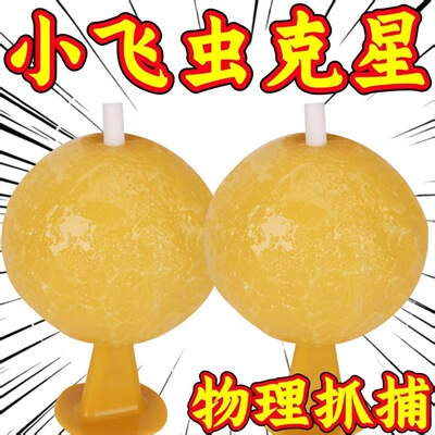 夏季室内粘飞虫球水果店超市粘虫球粘虫子小飞虫诱捕器厨房家用