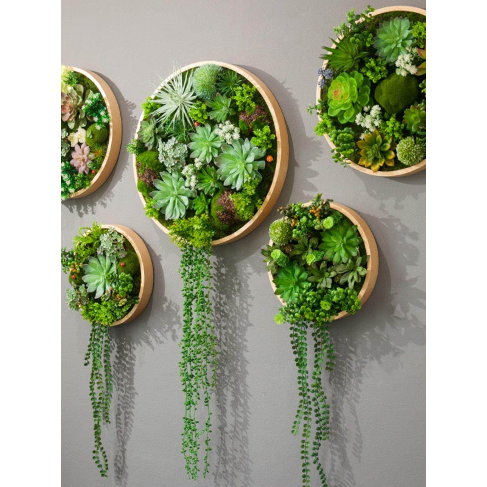 圆形模拟多肉绿色植物框架墙挂斯堪的纳维亚现代绿色植物墙立体墙,家居饰品,壁饰,淘宝优惠券,粉丝福利购,淘宝优惠卷