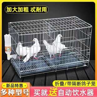 鴿子籠折疊養殖籠鴿子配對籠白鴿子籠家用鴿子用品雞籠鴿子窩直銷