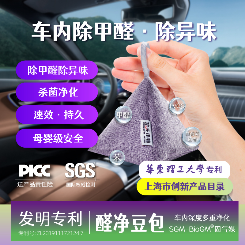 功夫小蝇新车除醛固气媒豆包