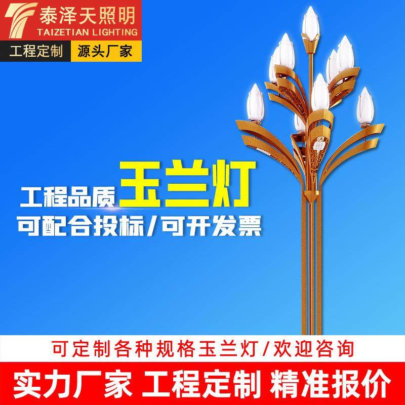 中华灯路灯灯罩景观灯6米7米8米9米10米12米户外灯广场庭院玉兰灯,家装灯饰光源,景观庭院灯饰,淘宝优惠券,粉丝福利购,淘宝优惠卷
