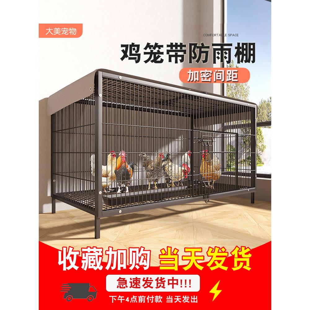 鸡笼子家用室外大号防雨农村专用养鸡笼防黄鼠狼加密铁丝网养殖笼
