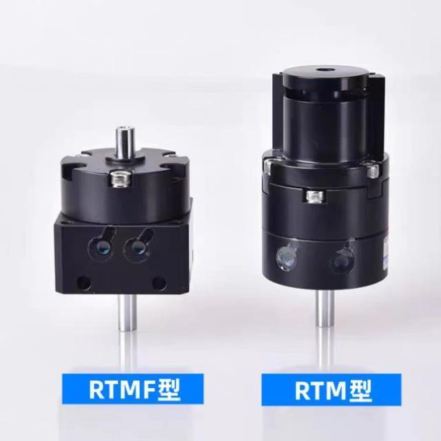 气立可型叶片旋转气缸RTM RTMF10*15*20*30*40X90X180X270-L-C2-S