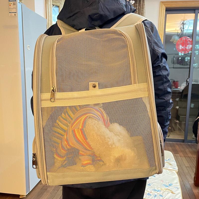 宠爱喵猫包外出便携包猫背包夏天双肩透气宠物出行携带猫咪大容量