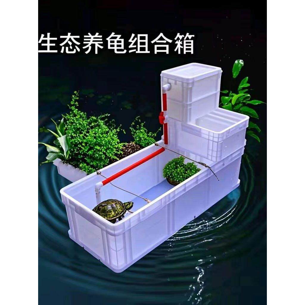 龟箱乌龟缸周转箱沼泽过滤箱水道生态缸内循环净水鱼龟混养饲养盒