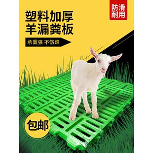 羊床塑料漏粪板羊舍羊圈羊棚羊粪板养羊用的产床垫板覆合漏粪板竹